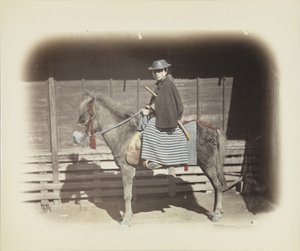 Man on a horse