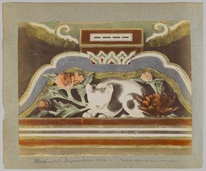 Sleeping cat (detail), Tōshō-gū, Nikko, Japan by Japanese Photographer