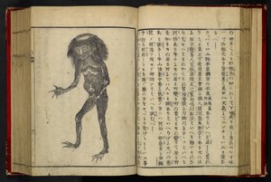 A Neneko Kappa, from 