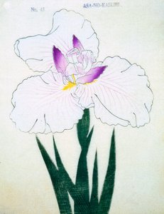 Asa-no-Kasumi, no.43, 1898 by Japanese School