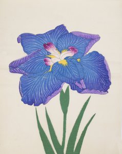 Azumabotan, No. 89, 1890 by Japanese School