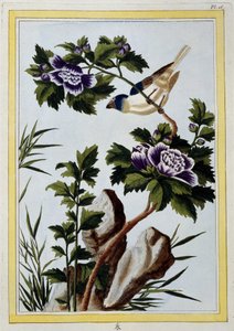 Bird - Japanese print