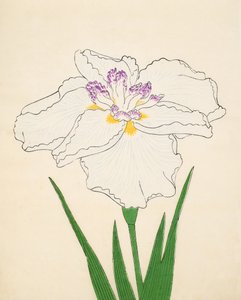 Cho-Hiyen, No. 91, 1890