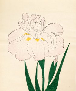 En-Yo-No-Ten, No. 73, 1890 by Japanese School