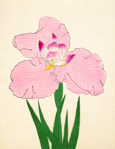 Gaisen, No. 90, 1890 by Japanese School