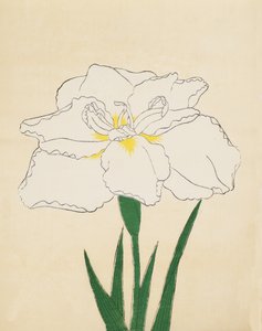 Haku-O-Den, No. 40 by Japanese School