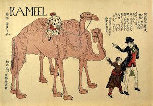 Kameel, 1821 by Japanese School