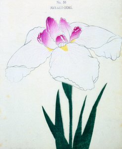 Miyako-Dore, no.50, 1898 by Japanese School