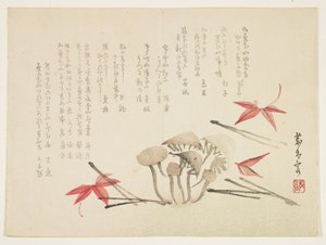 Mushrooms, Maple Leaves and Pine Needles by Japanese School