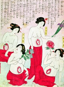 Pregnant Women by Japanese School