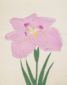 Shu-Fu-Raku, No. 58, 1890 by Japanese School