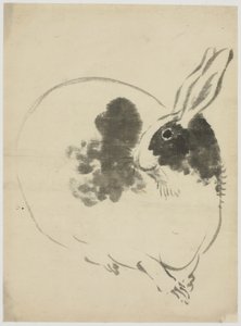 Spotted Rabbit