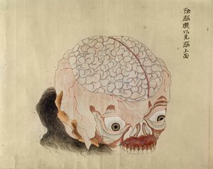 The anatomy of the brain from the dissection of a torture victim of 1796, from a makimono of a Midori doctor, 1842