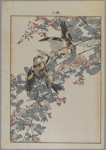 Two Birds with Pink Flowers, Meiji Period, c.1868-1912 by Japanese School