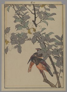 Two Birds with White Flowers, Meiji Period, 1892