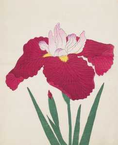 Yamamatayama, No. 83, 1890 by Japanese School