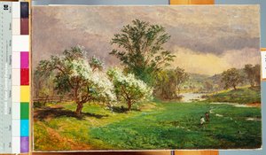 Apple Blossom Time