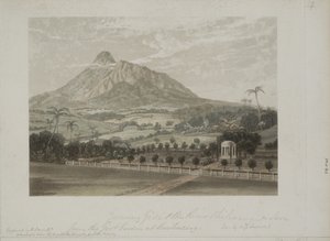 Garden at Buitenzorg by Javanese School