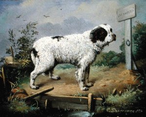 A Newfoundland on an Embankment by Jean Baptiste Desgrange