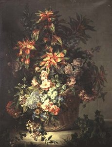 Roses, Convolvuli, Poppies, Honeysuckle and Other Flowers