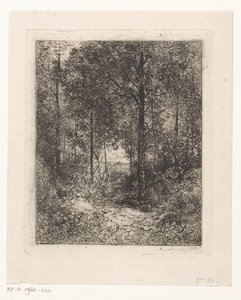 Forest View