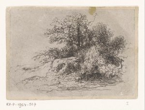 Shrubbery by Jean Alexis Achard