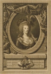 Marie Antoinette, Duchess of Austria by Jean Antoine Pierron