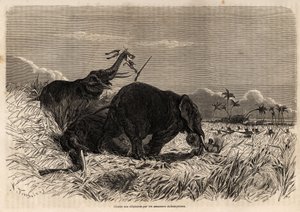 The hunt for elephants by the Dahomyan Amazons by Jean Antoine Valentin Foulquier