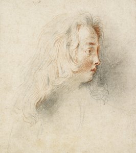 Head of a Boy in Profile