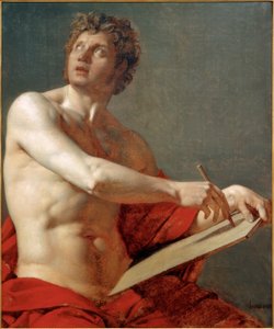Male Torso