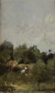A rider in the country