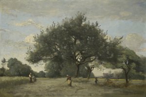 Apple Trees in a Field