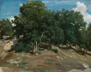 Fontainebleau: Oak Trees at Bas-Bréau