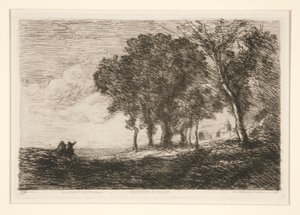 Landscape of