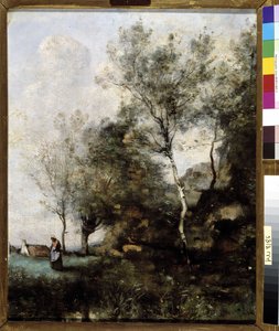 The Birch