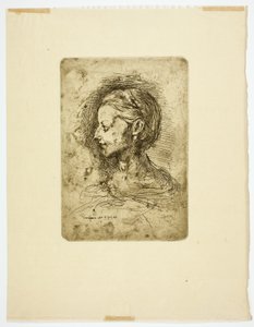 Female Head by Jean Baptiste Carpeaux