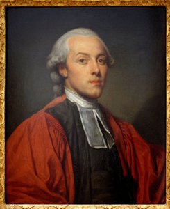 Portrait of Charles Paul Jean Baptiste de Bourgevin de Vialart de Saint Morys