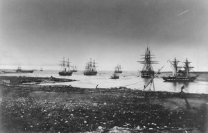 Crimean War, French Squadron, Entry into the Port, 1855