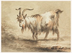 Study of a Goat, 1772 by Jean Baptiste Huet