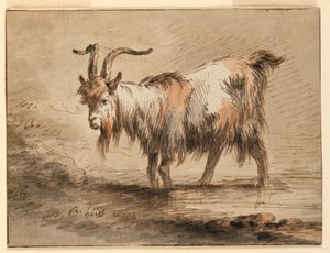 Study of a Goat, 1772 by Jean Baptiste Huet
