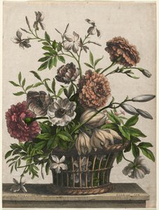 Marigolds, single Anemone, Jasmine by Jean Baptiste Monnoyer I