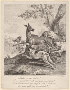 A Deer Attacked by Dogs