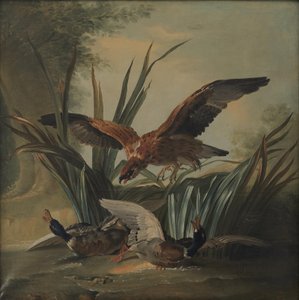 A Hawk Pouncing on a Pair of Ducks by Jean Baptiste Oudry