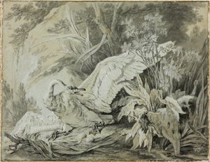 A Wild Swan Attacked by a Dog by Jean Baptiste Oudry