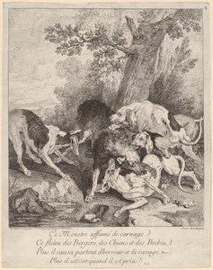 A Wolf Attacked by Dogs