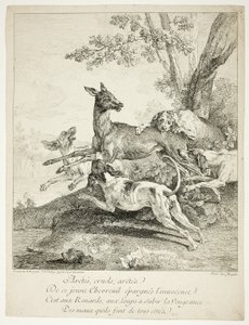 Deer Attacked by Dogs by Jean Baptiste Oudry