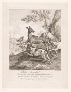 Deer Attacked by Hunting Dogs (Hunting Scenes)