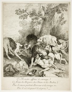 The Wolf at Bay