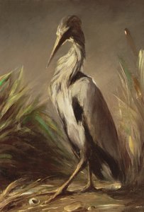 Unknown Image