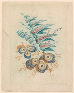 Fantastic Flower Motif from Nouvelle Suitte de Cahiers de Fleurs Idéales by Jean Baptiste Pillement